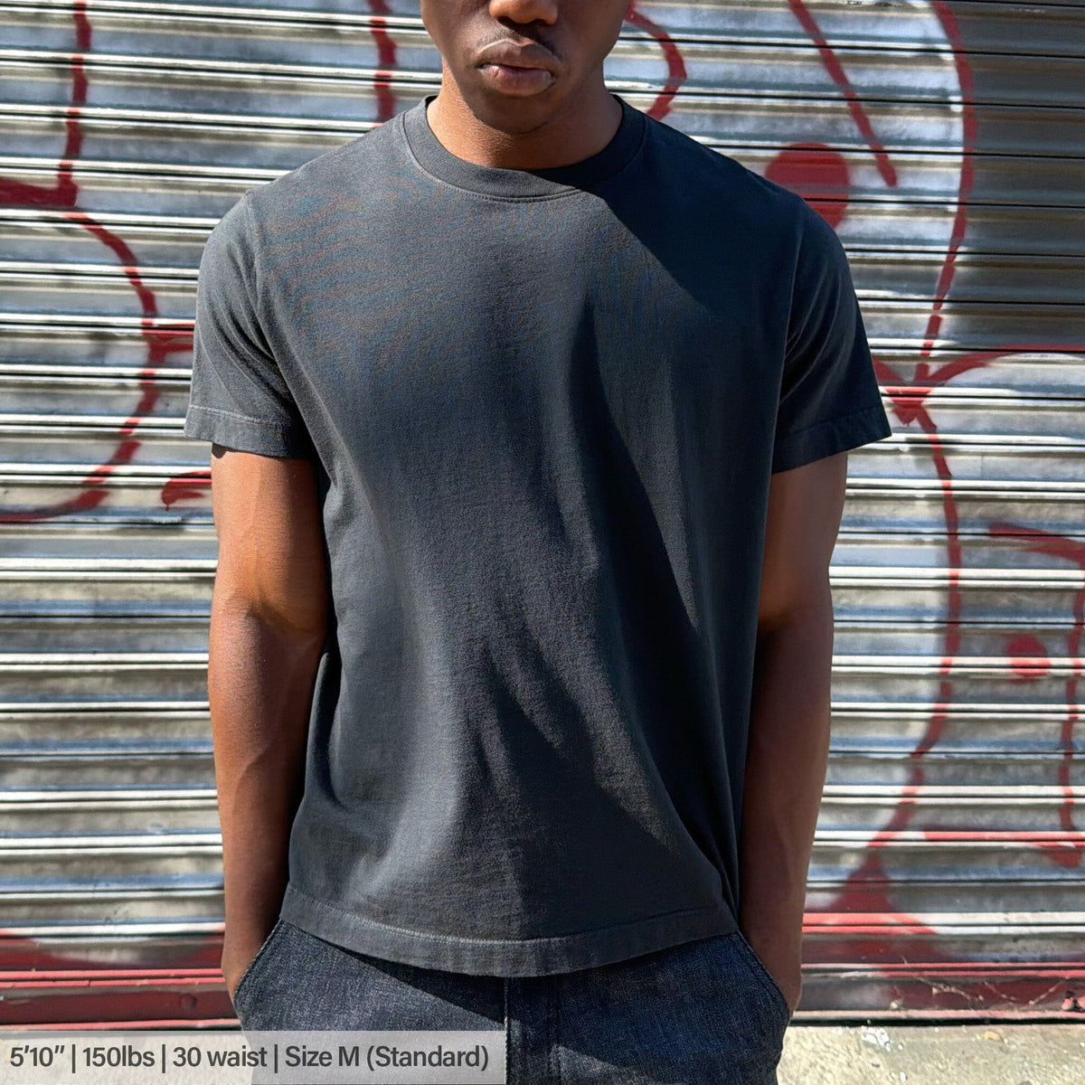 Silverlake Crop Tee III | Boxy, Relaxed Fit - Ash Black (Vintage)