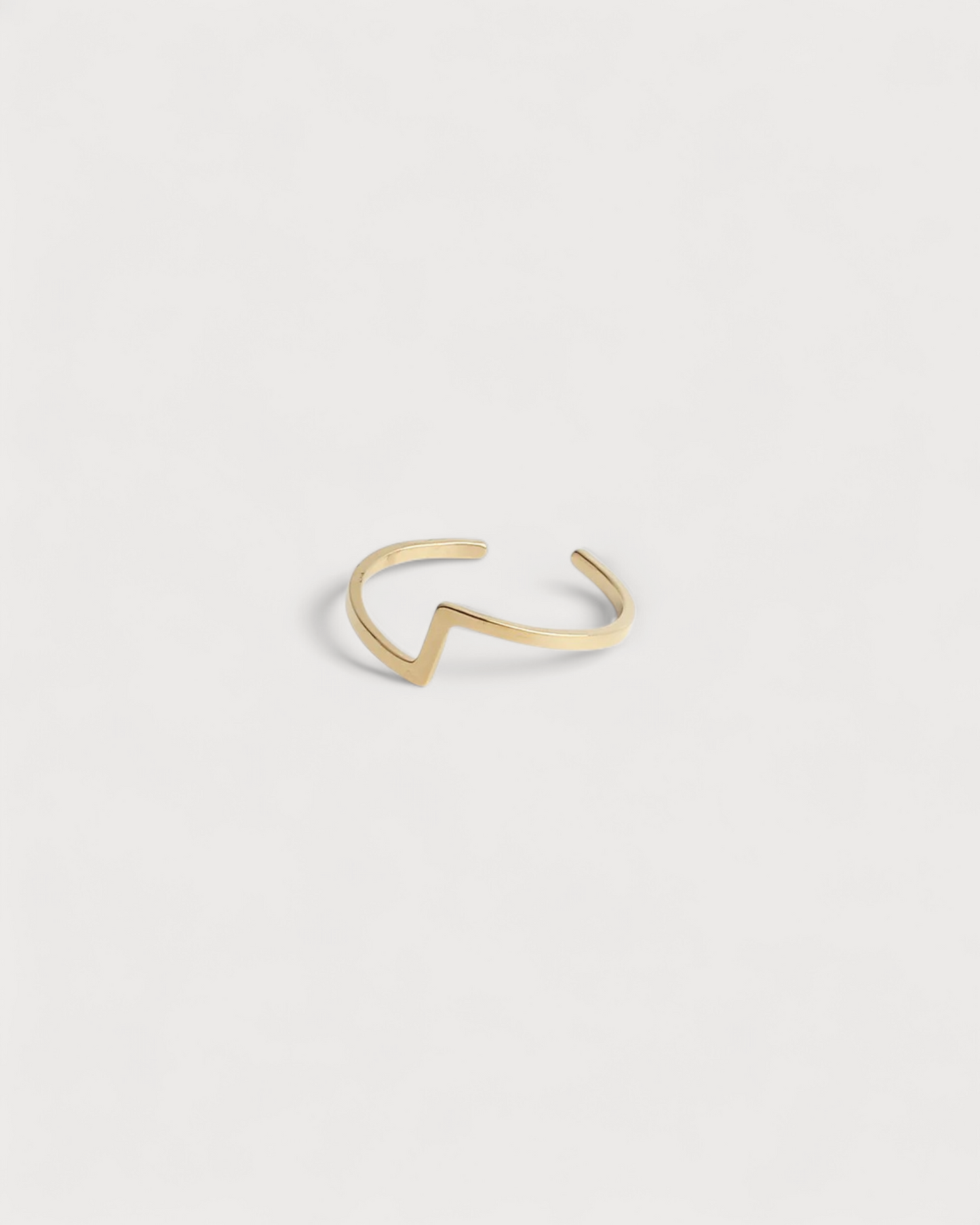 Robin - Ring - Stainless Steel - Adjustable