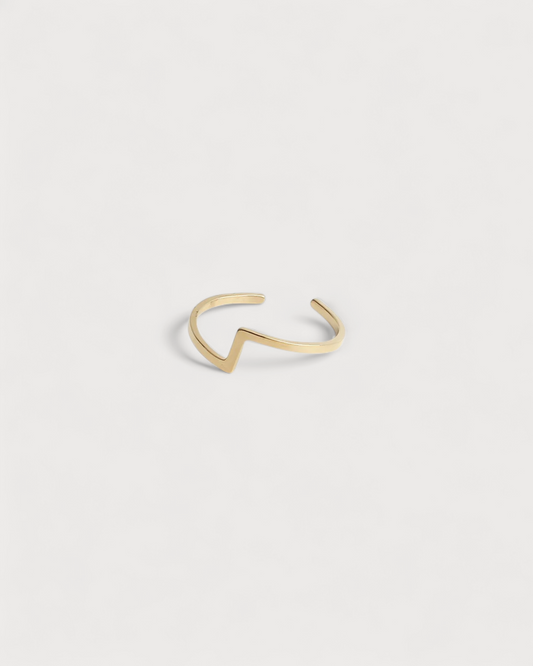 Robin - Ring - Stainless Steel - Adjustable