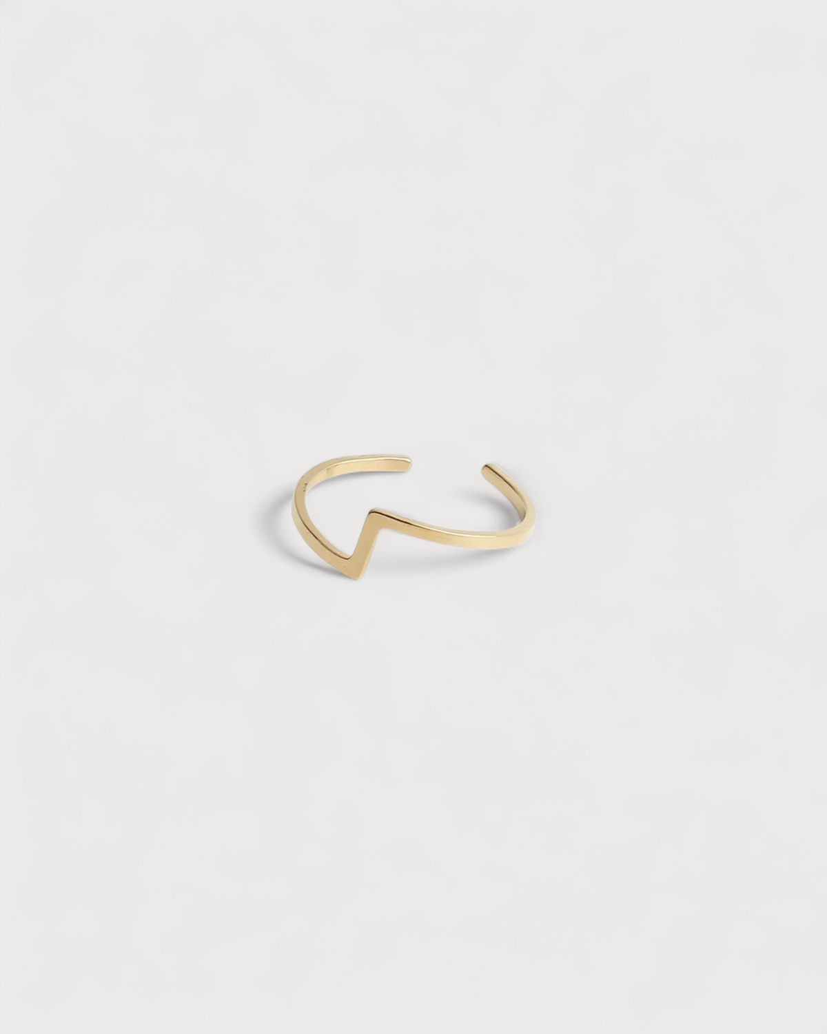 Robin - Ring - Stainless Steel - Adjustable